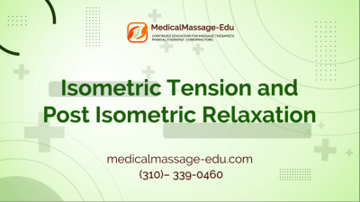 Isometric Tension and Post Isometric Relaxation